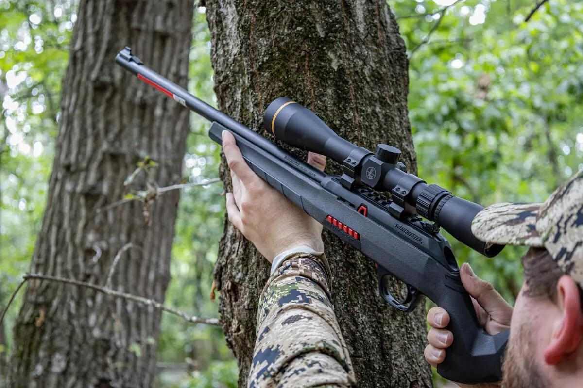 Air rifle squirrel control in woodland